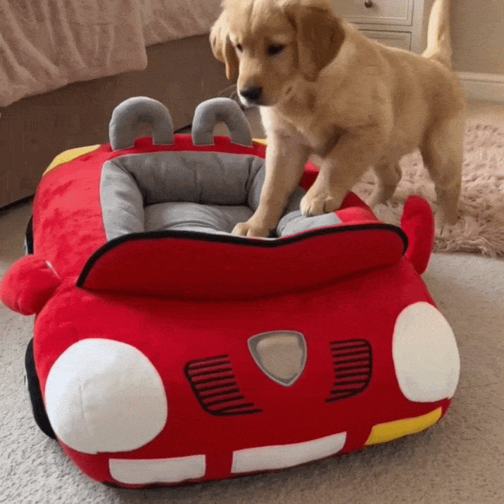 Hunde-Schlitten Pro - Sportauto Bett für Tiere