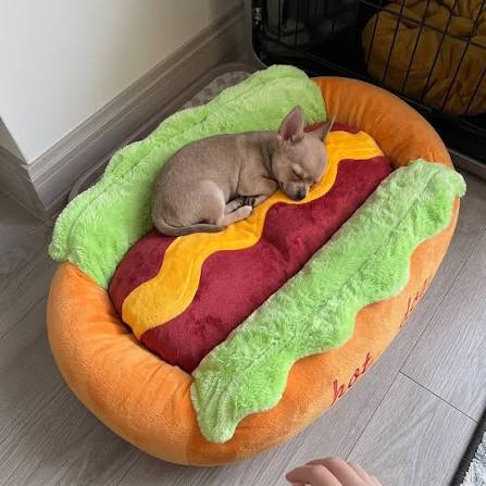 Würstchen-Bett™ Hot Dog Bett für Tiere